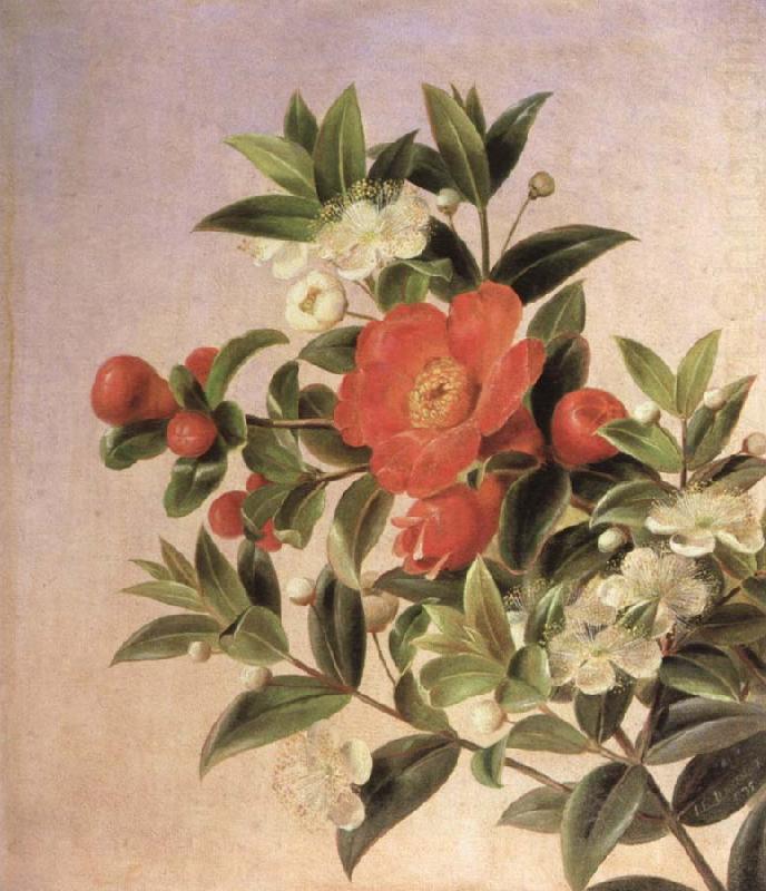 flowers, Jensen Johan